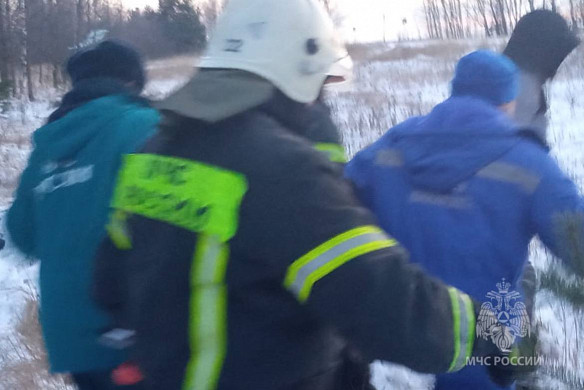 В Палехском районе пассажир вылетел через лобовое стекло перевернувшейся иномарки